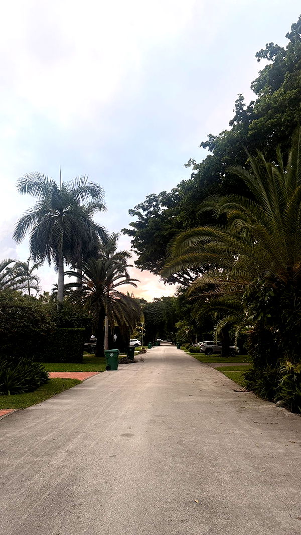 julia.filippo image ~ Altpins