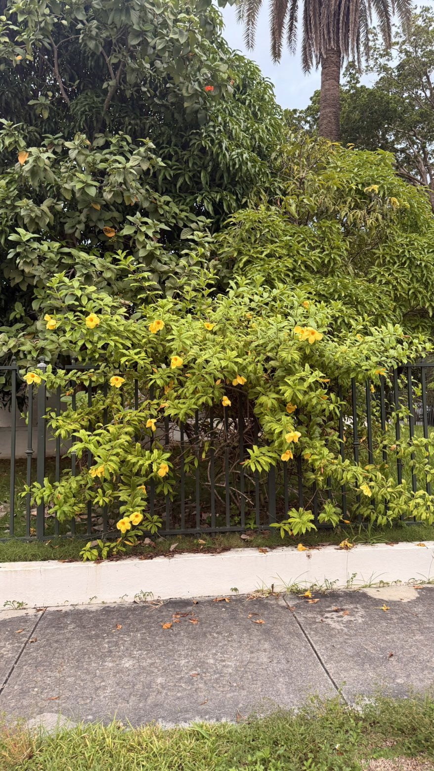 julia.filippo snapchat image archive image