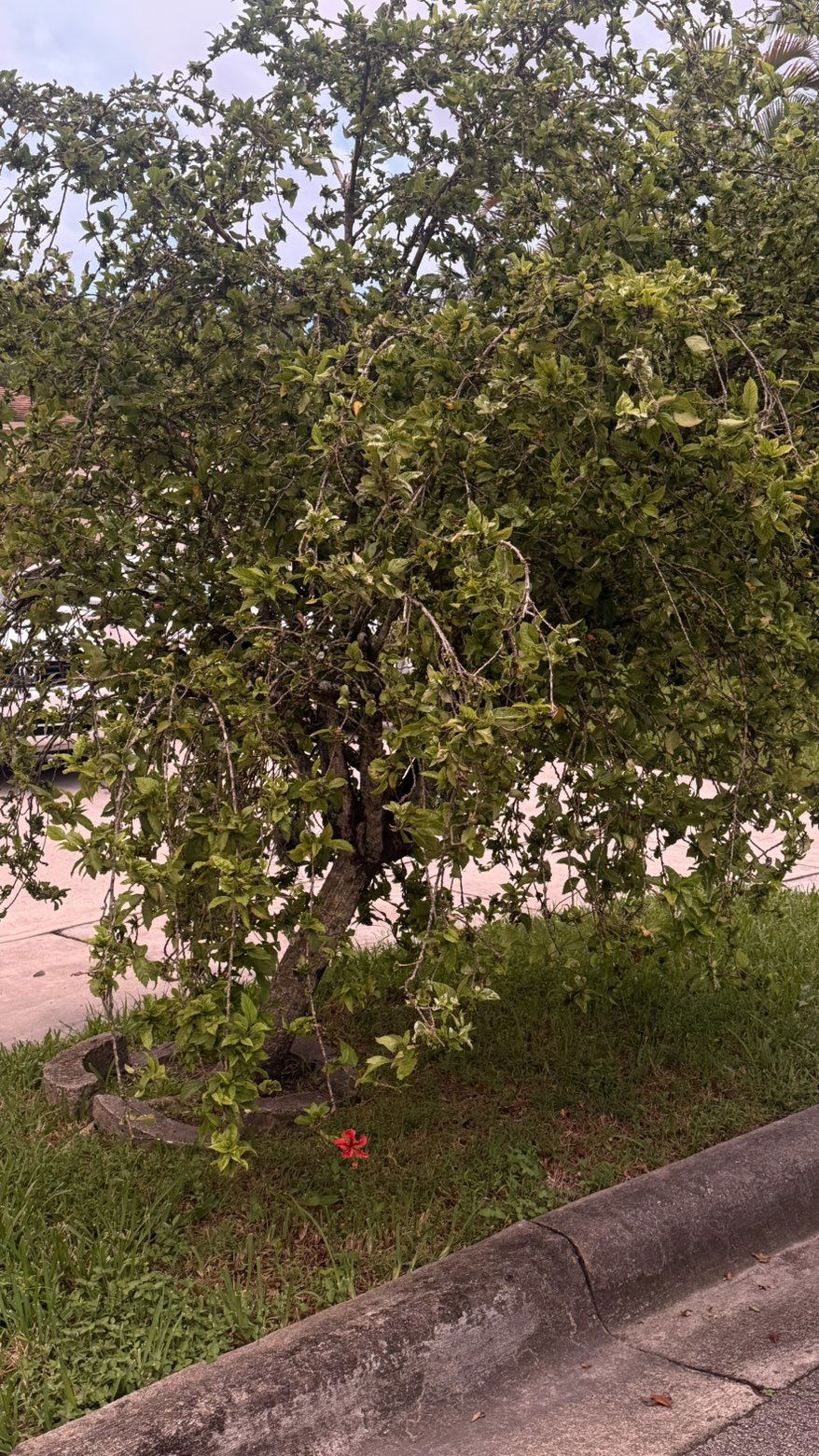 julia.filippo snapchat image archive image