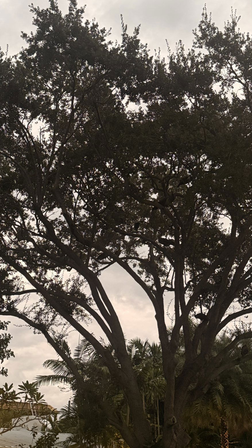 julia.filippo snapchat image archive image