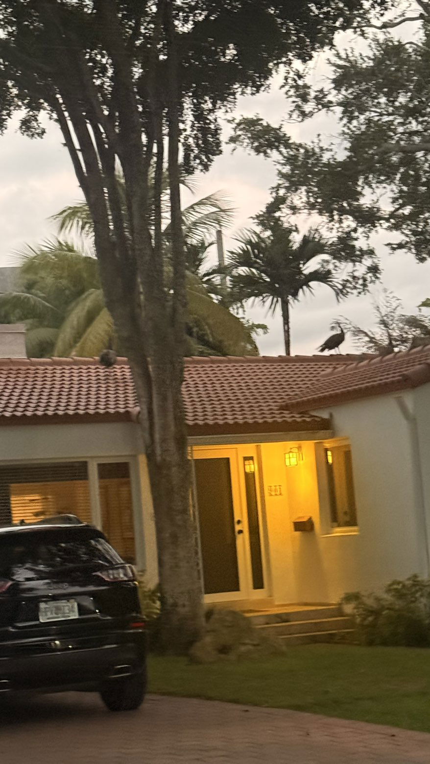 julia.filippo snapchat image archive image