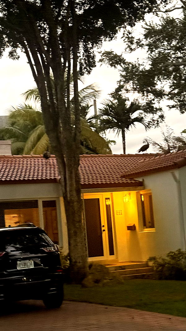 julia.filippo image ~ Altpins