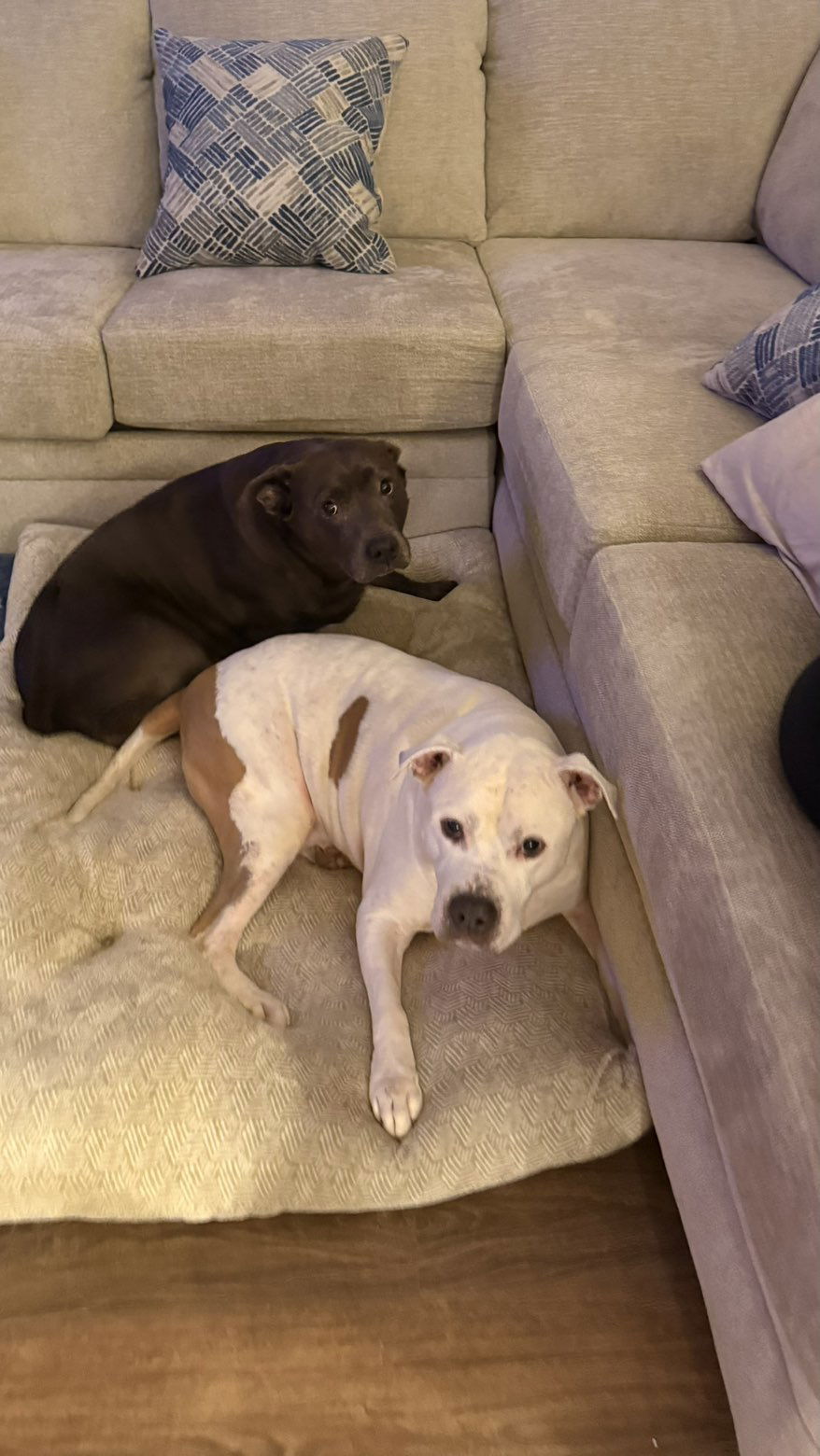 julia.filippo snapchat image archive image