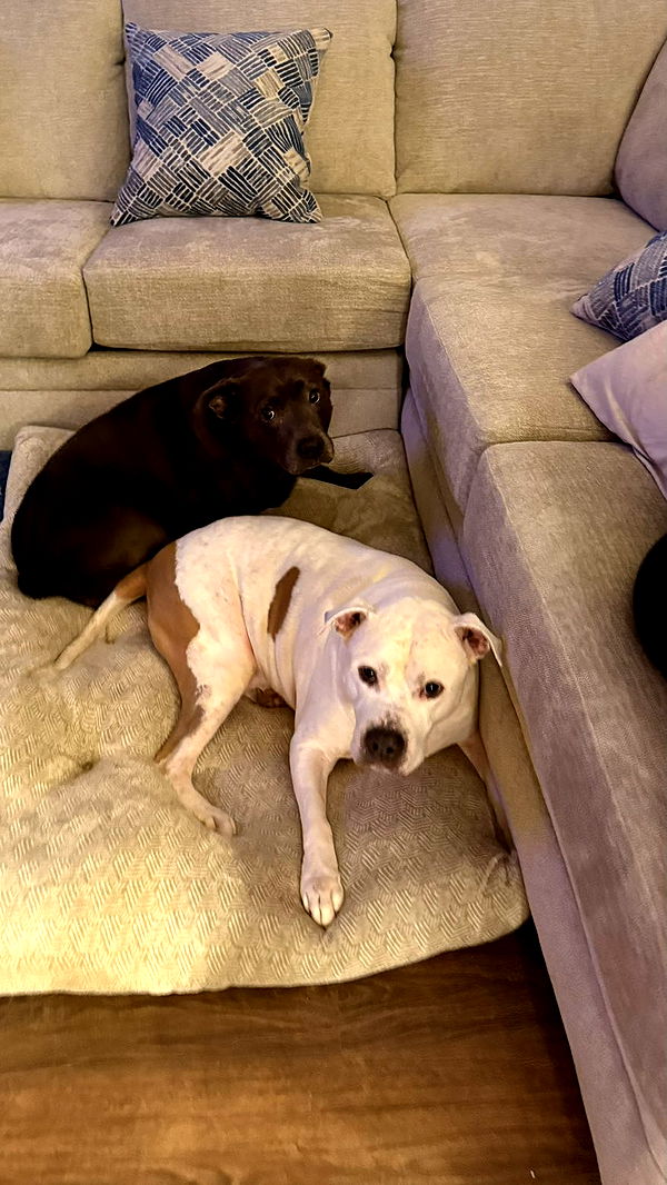 julia.filippo image ~ Altpins