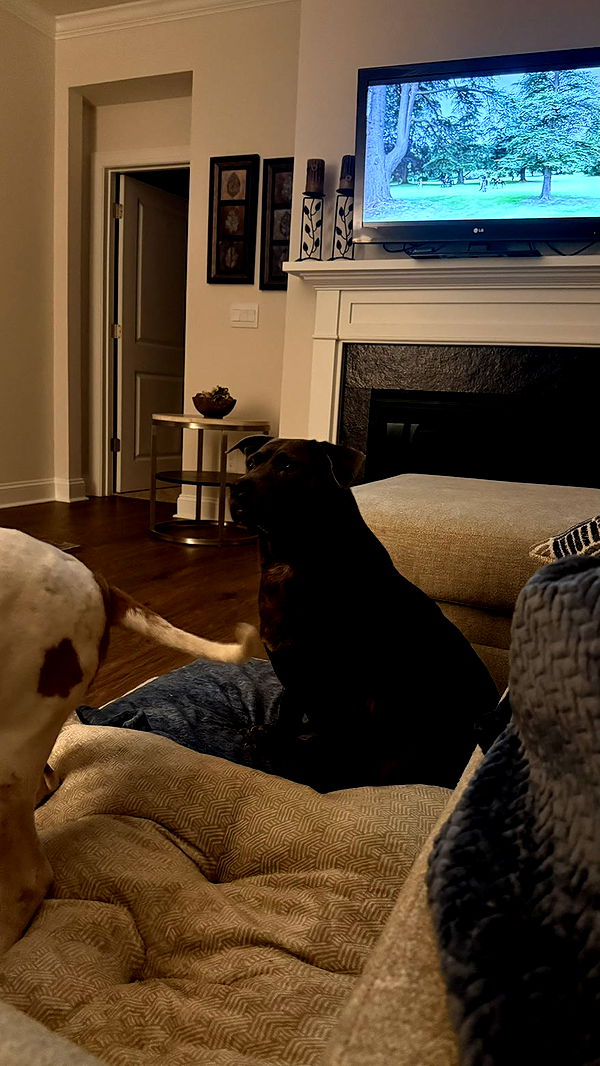 julia.filippo image ~ Altpins