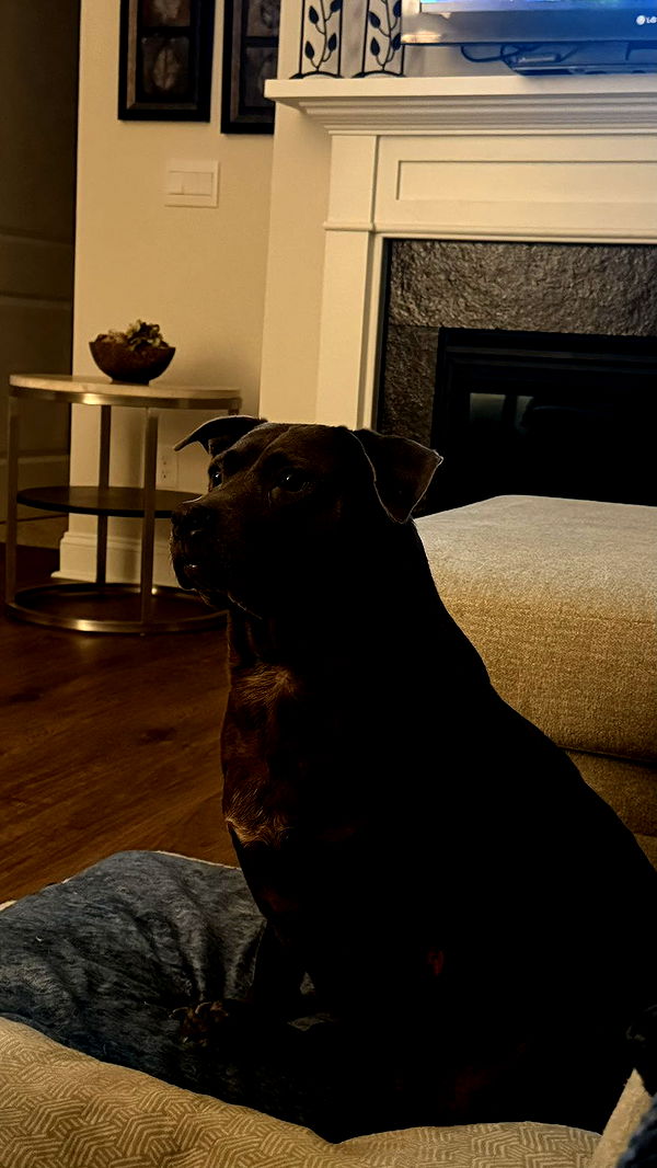 julia.filippo image ~ Altpins