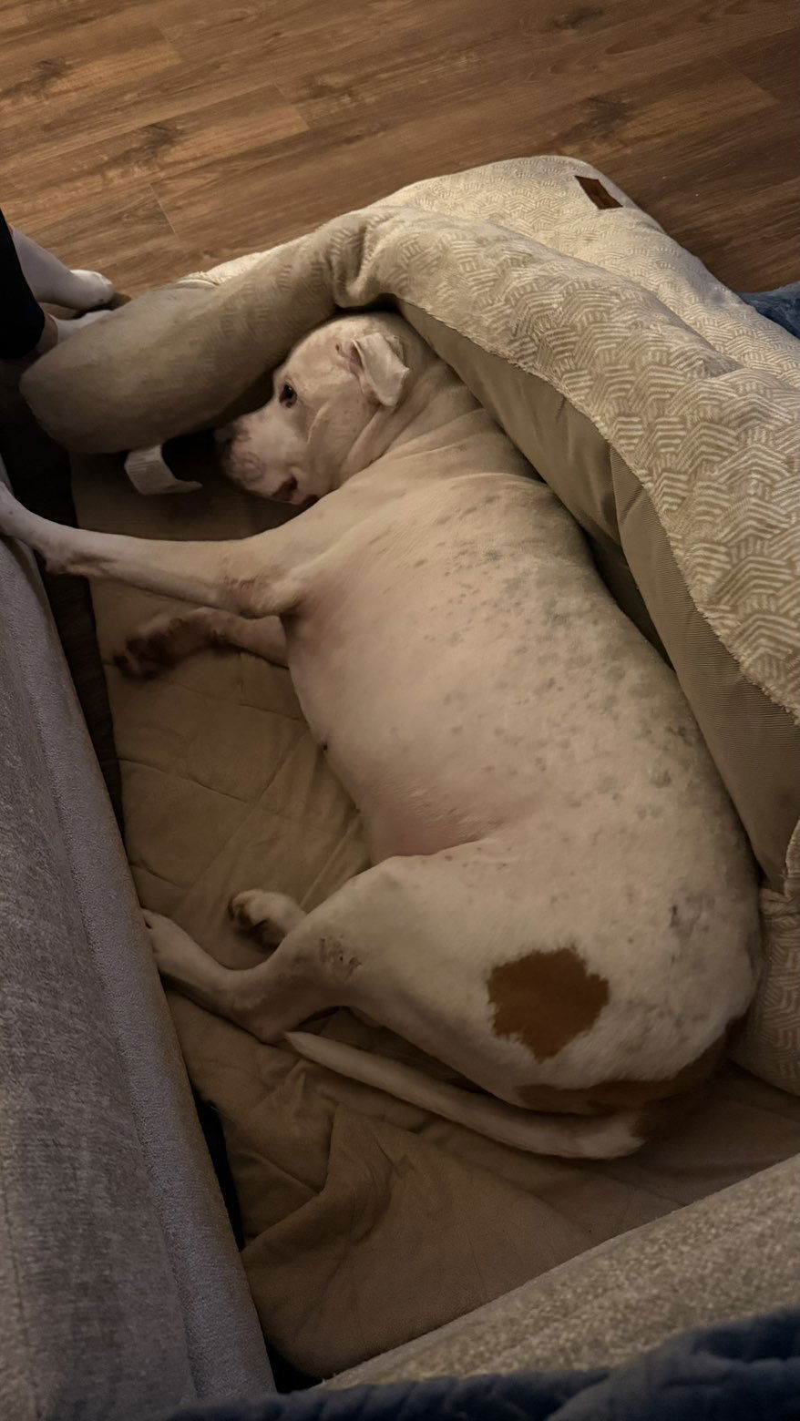 julia.filippo snapchat image archive image