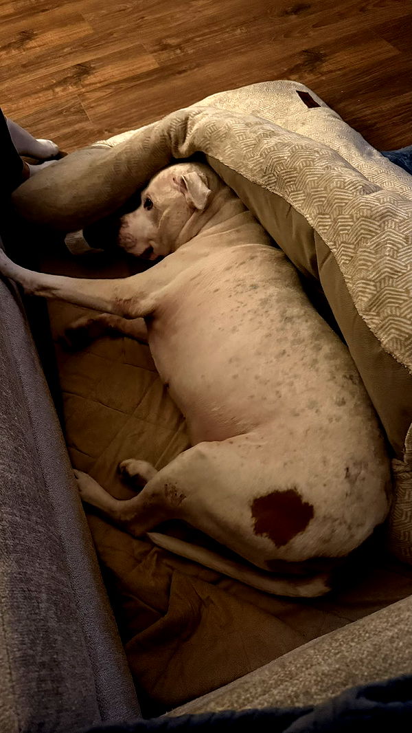 julia.filippo image ~ Altpins