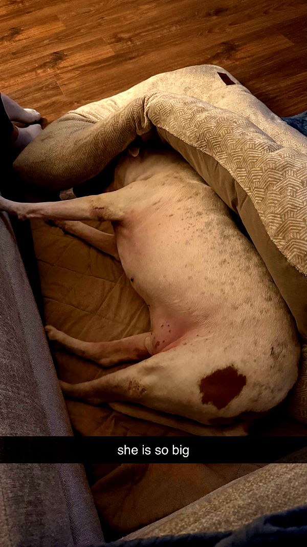 julia.filippo image ~ Altpins