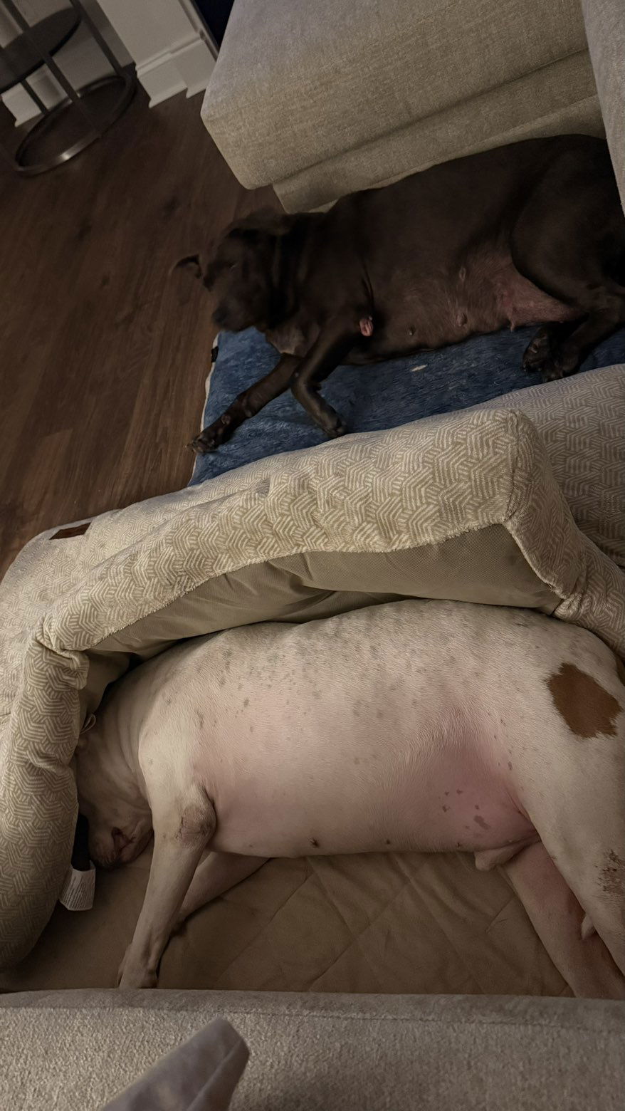 julia.filippo snapchat image archive image