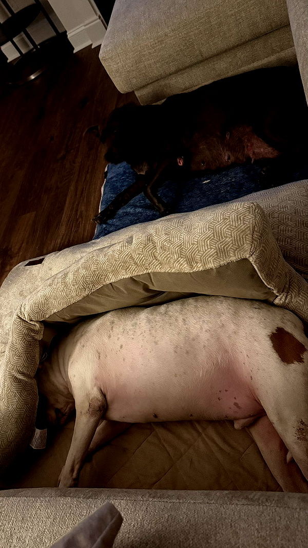 julia.filippo image ~ Altpins