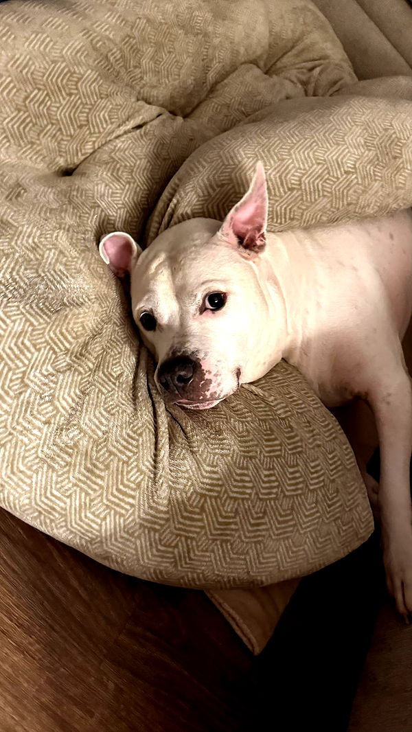 julia.filippo image ~ Altpins