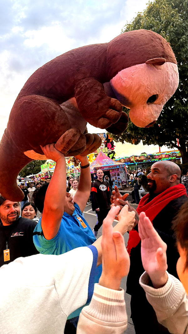 julia.filippo image ~ Altpins