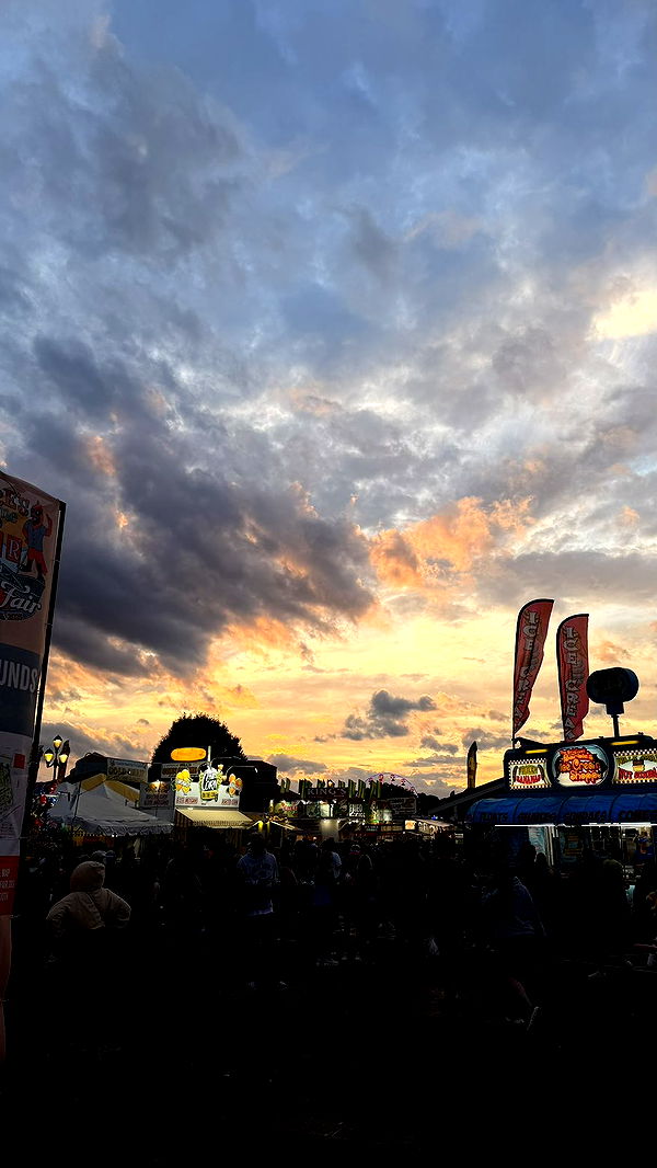 julia.filippo image ~ Altpins