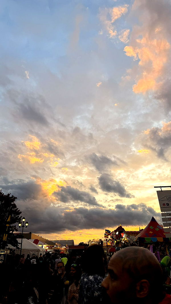 julia.filippo image ~ Altpins