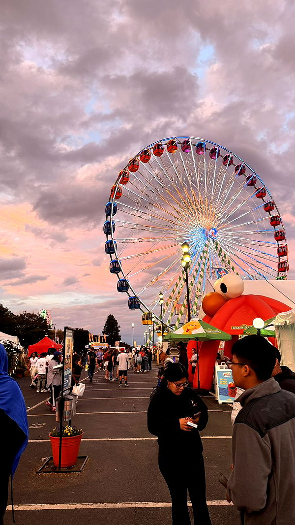 julia.filippo image ~ Altpins