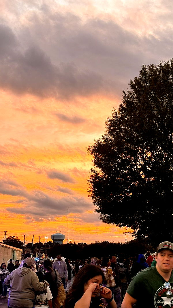 julia.filippo image ~ Altpins