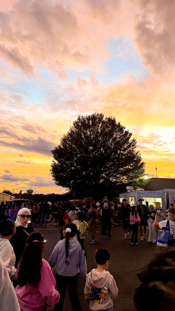 julia.filippo image ~ Altpins