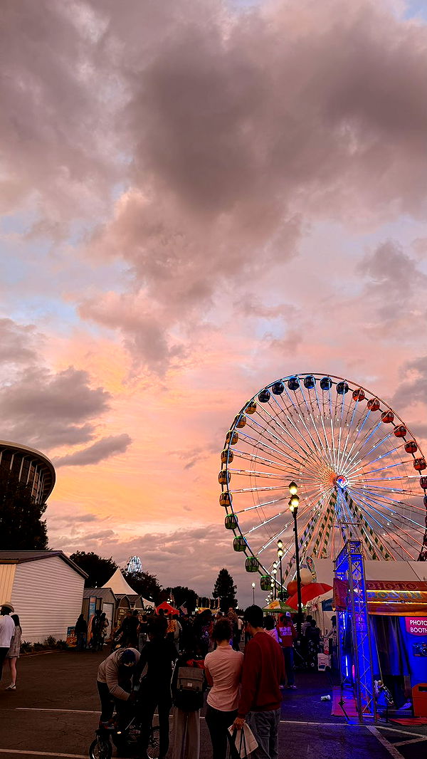 julia.filippo image ~ Altpins