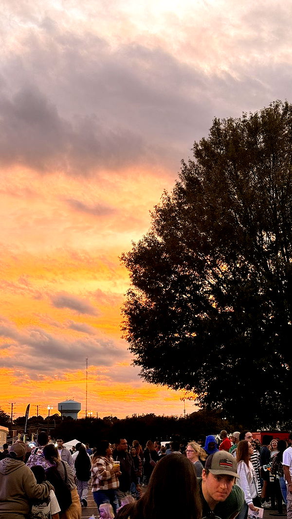 julia.filippo image ~ Altpins