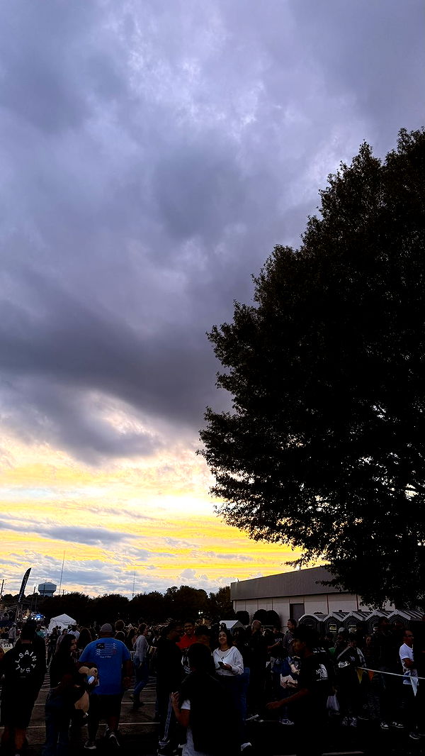 julia.filippo image ~ Altpins