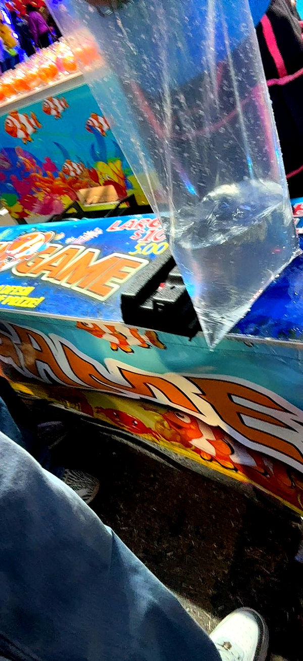 julia.filippo image ~ Altpins