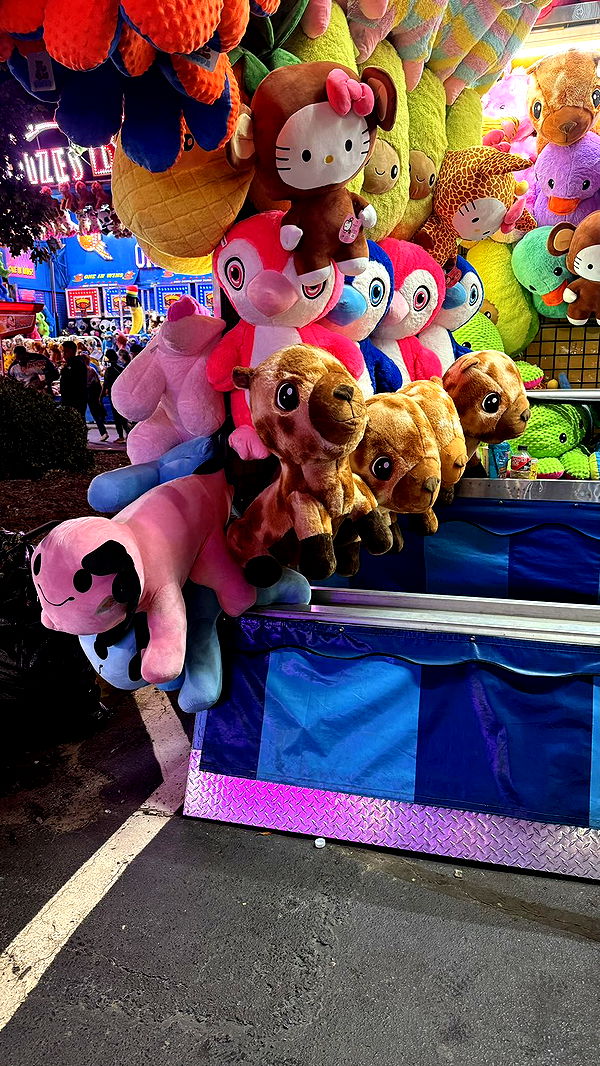 julia.filippo image ~ Altpins