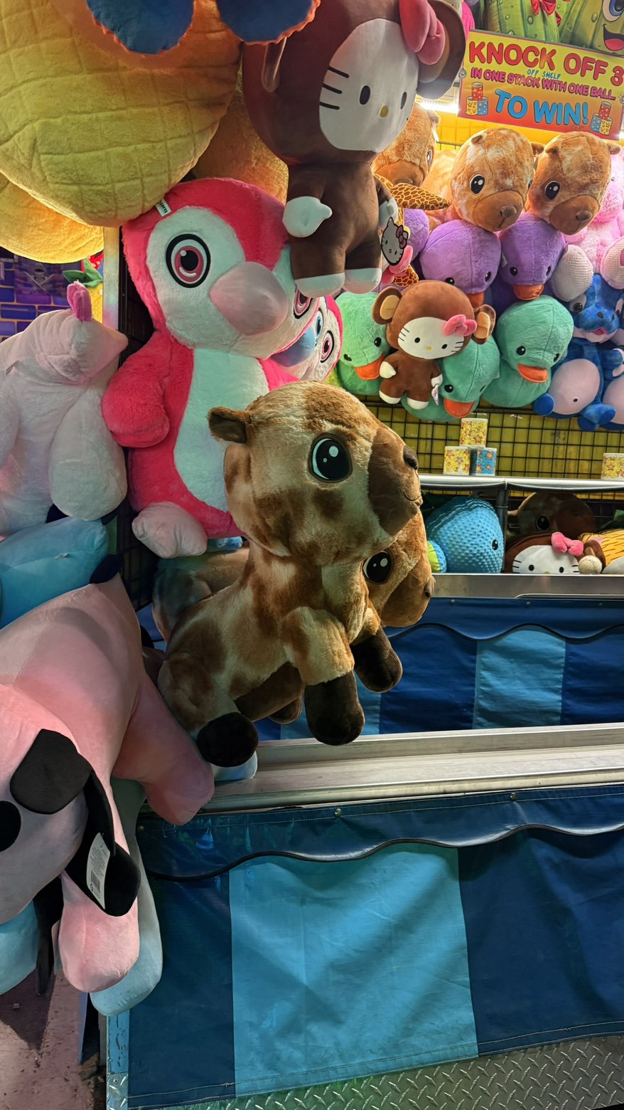 julia.filippo snapchat image archive image