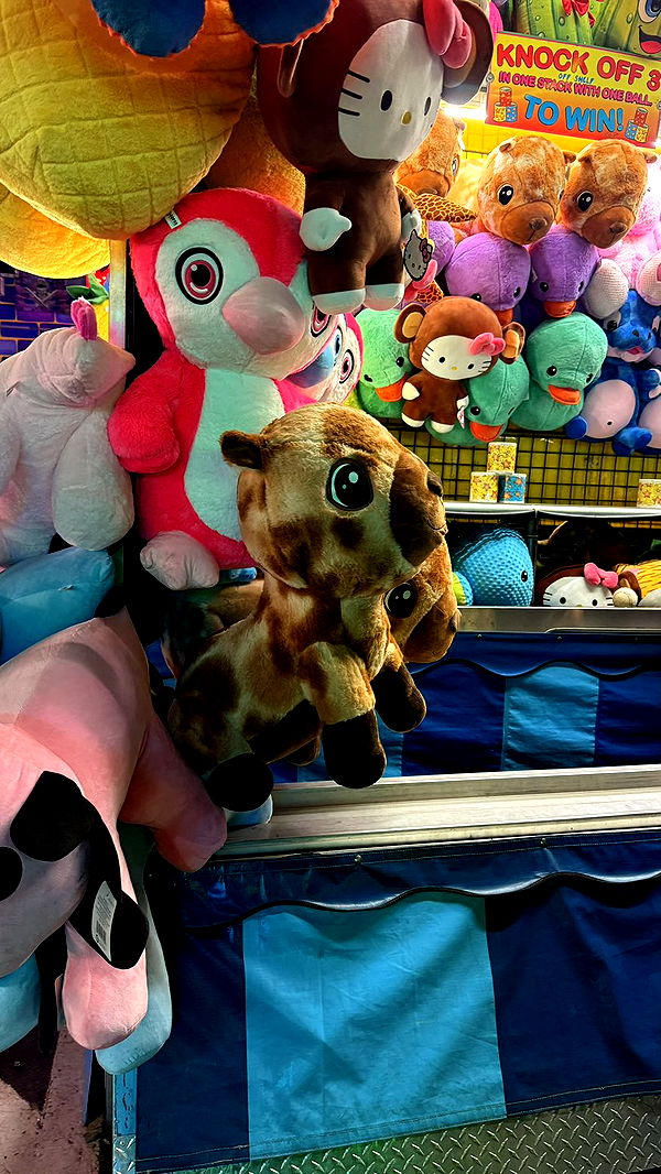 julia.filippo image ~ Altpins