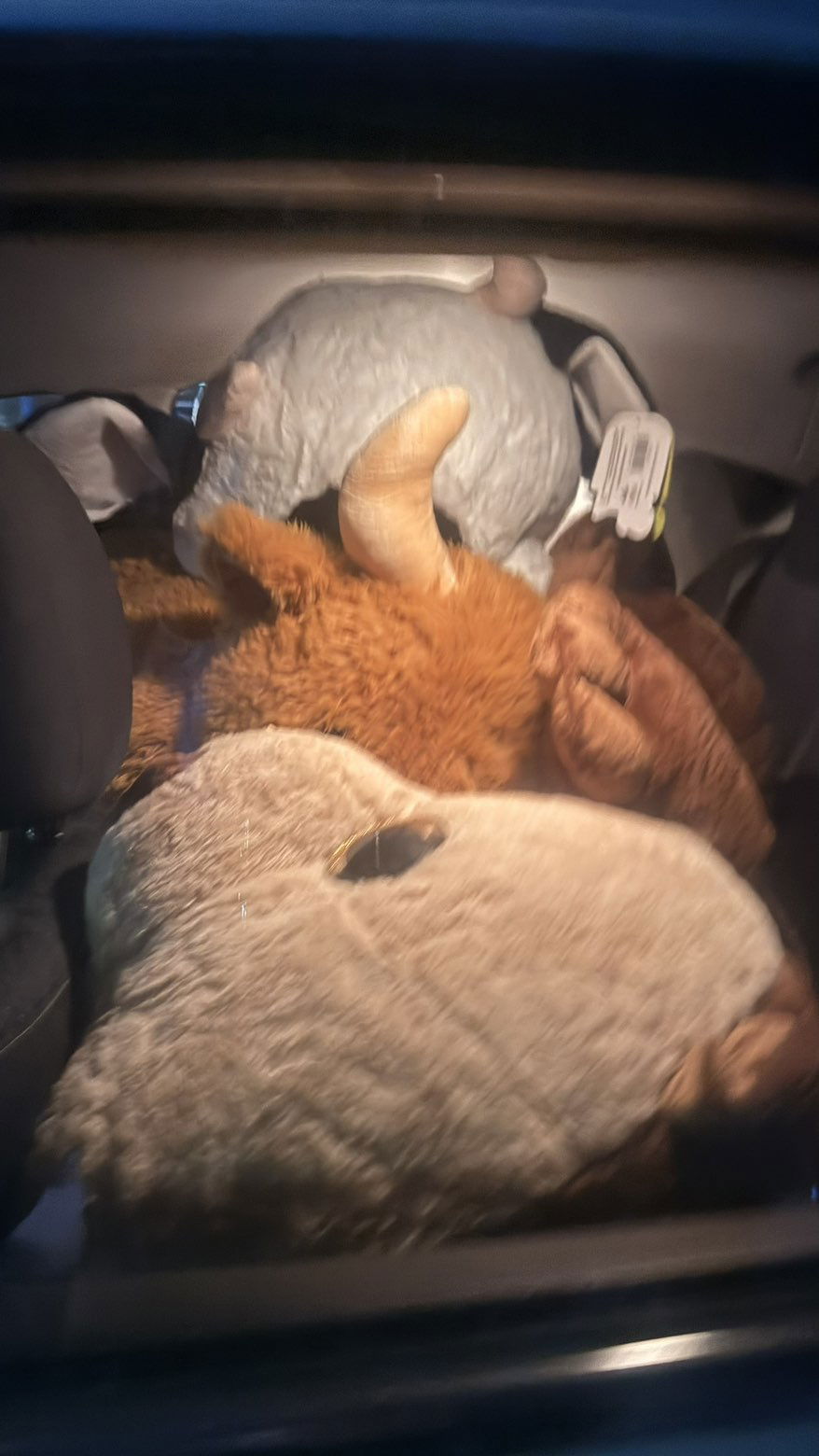 julia.filippo snapchat image archive image