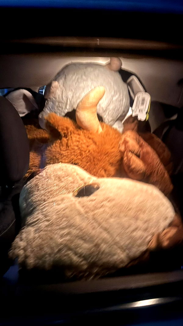 julia.filippo image ~ Altpins