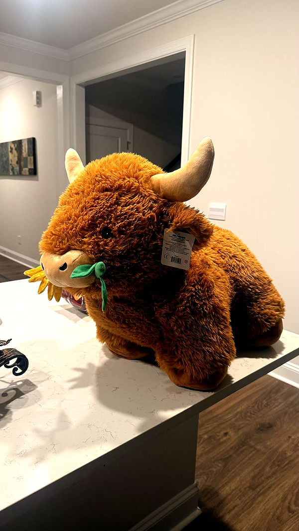 julia.filippo image ~ Altpins