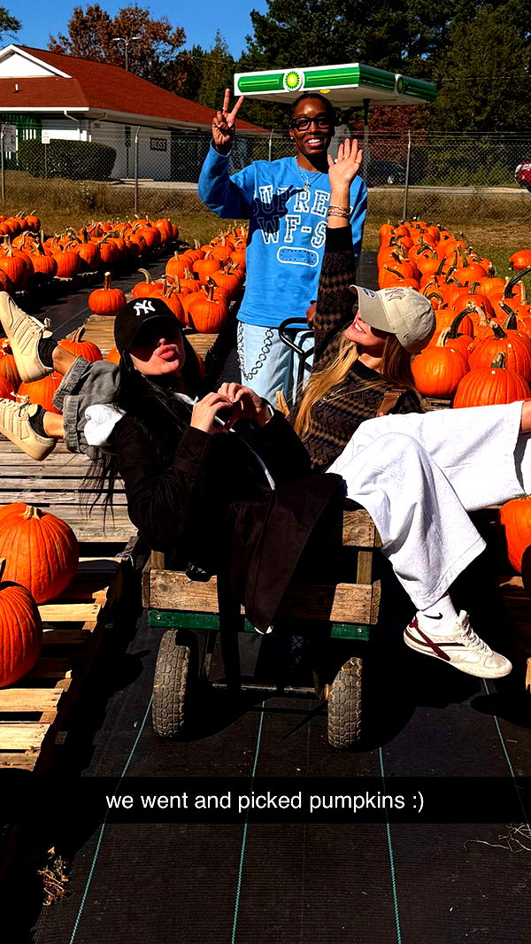 julia.filippo image ~ Altpins