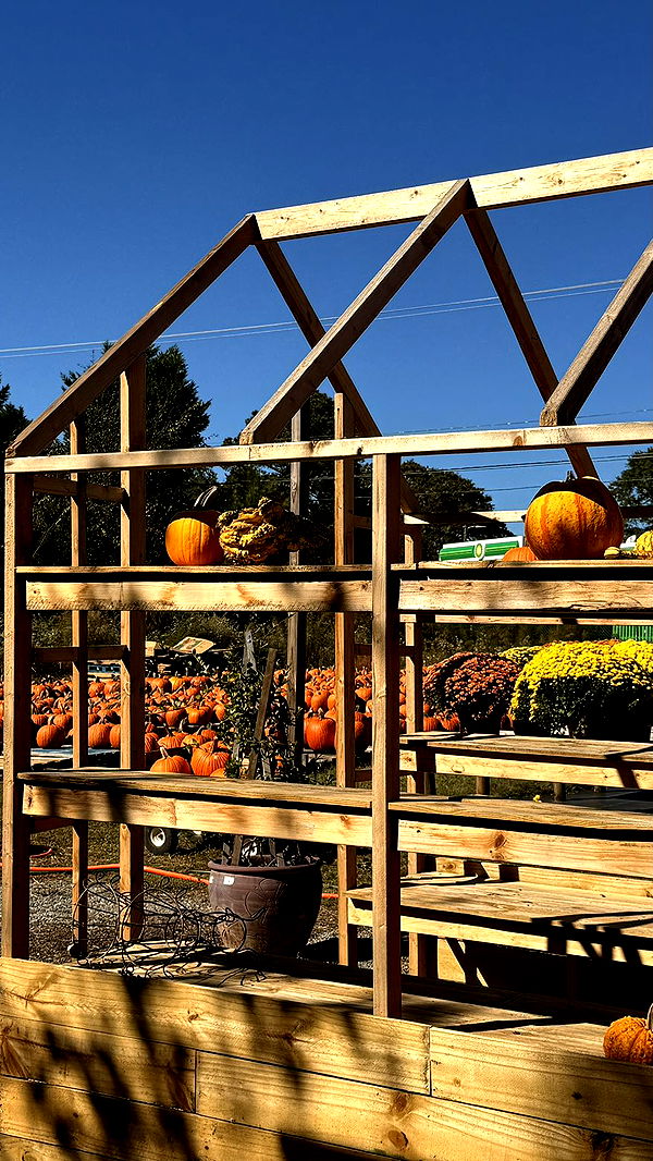 julia.filippo image ~ Altpins