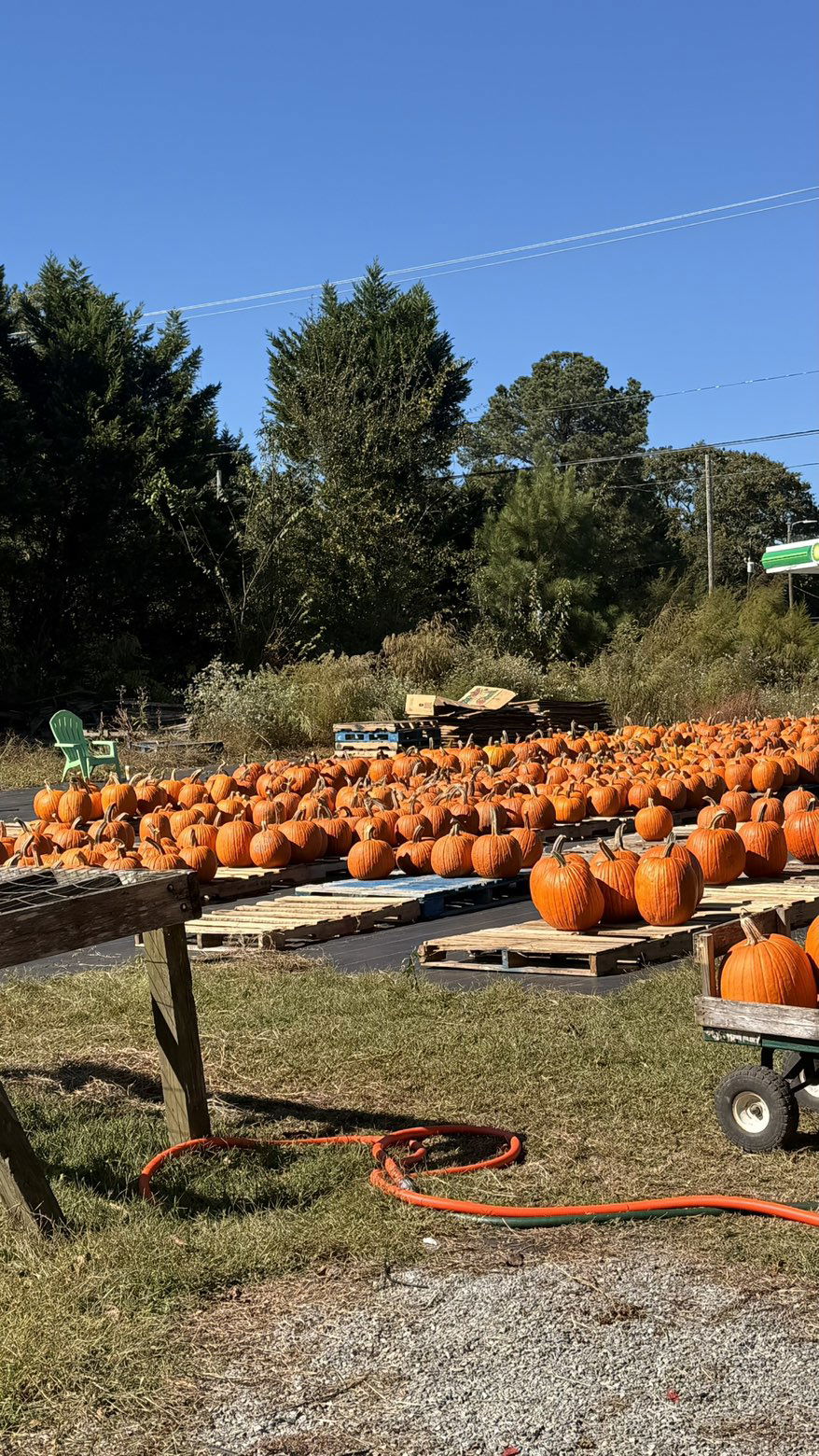 julia.filippo snapchat image archive image