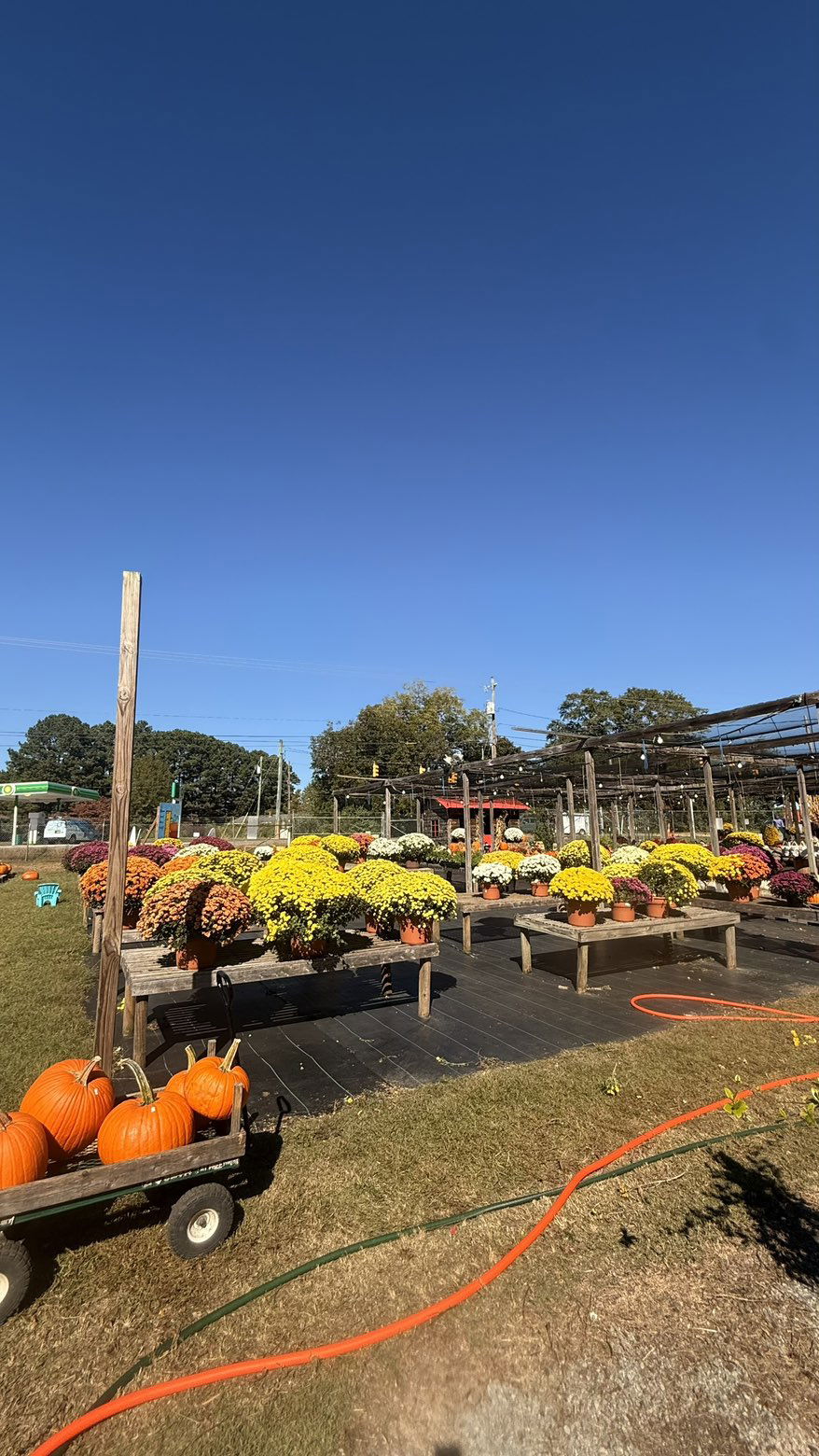 julia.filippo snapchat image archive image