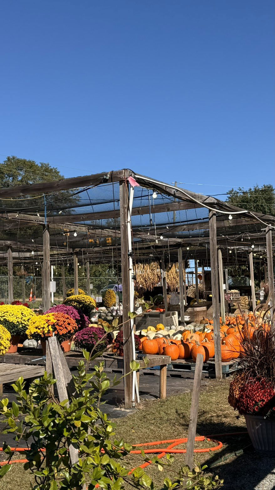 julia.filippo snapchat image archive image