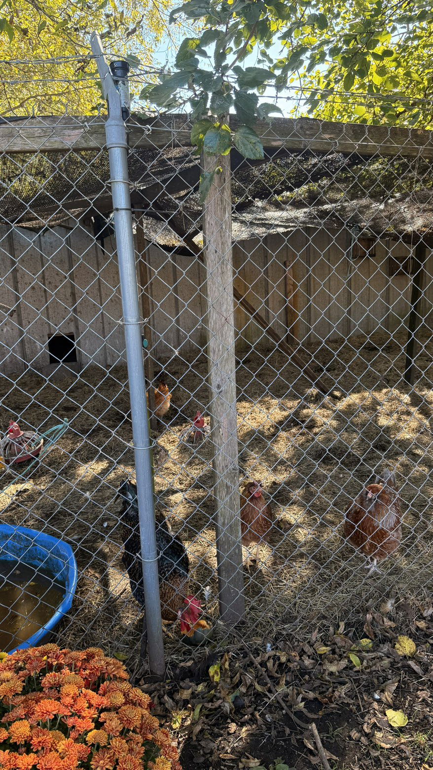 julia.filippo snapchat image archive image