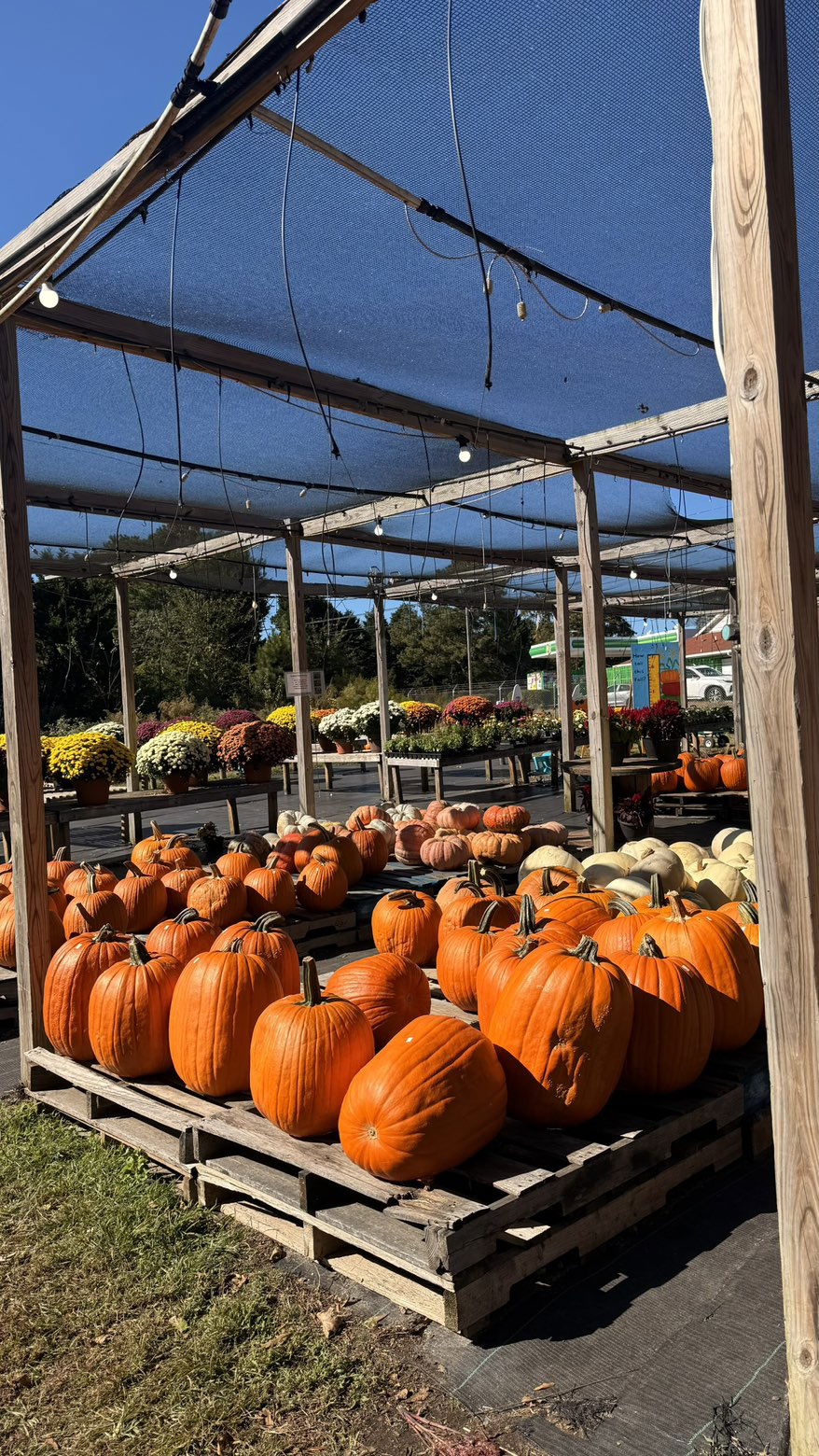 julia.filippo snapchat image archive image