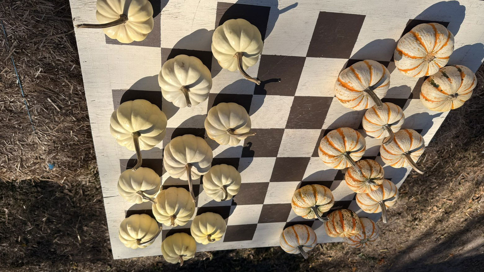 julia.filippo snapchat image archive image