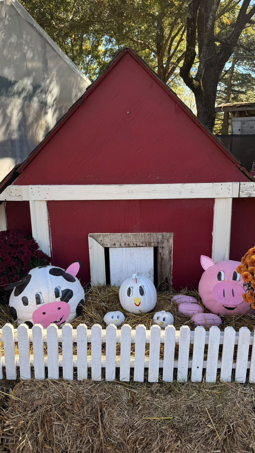 julia.filippo snapchat image archive image