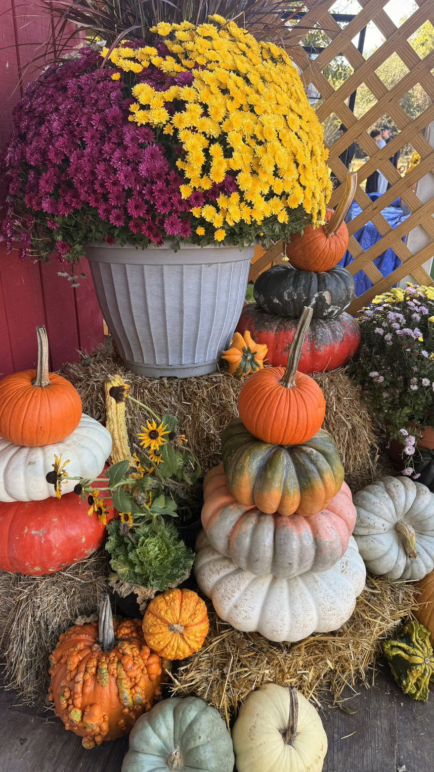 julia.filippo snapchat image archive image