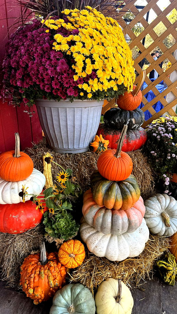 julia.filippo image ~ Altpins