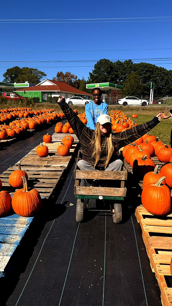 julia.filippo image ~ Altpins