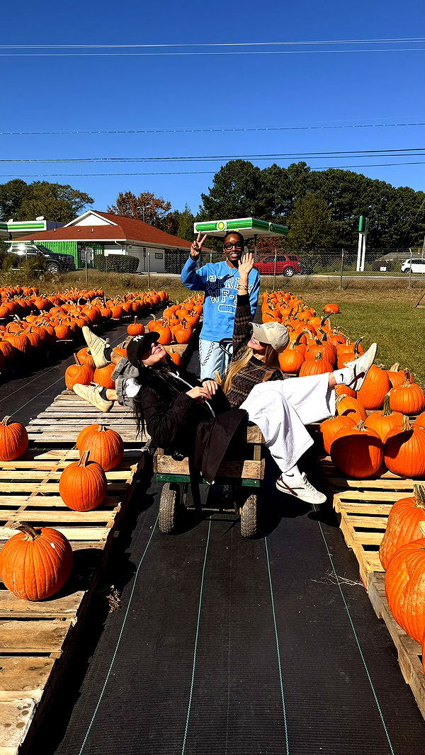 julia.filippo image ~ Altpins