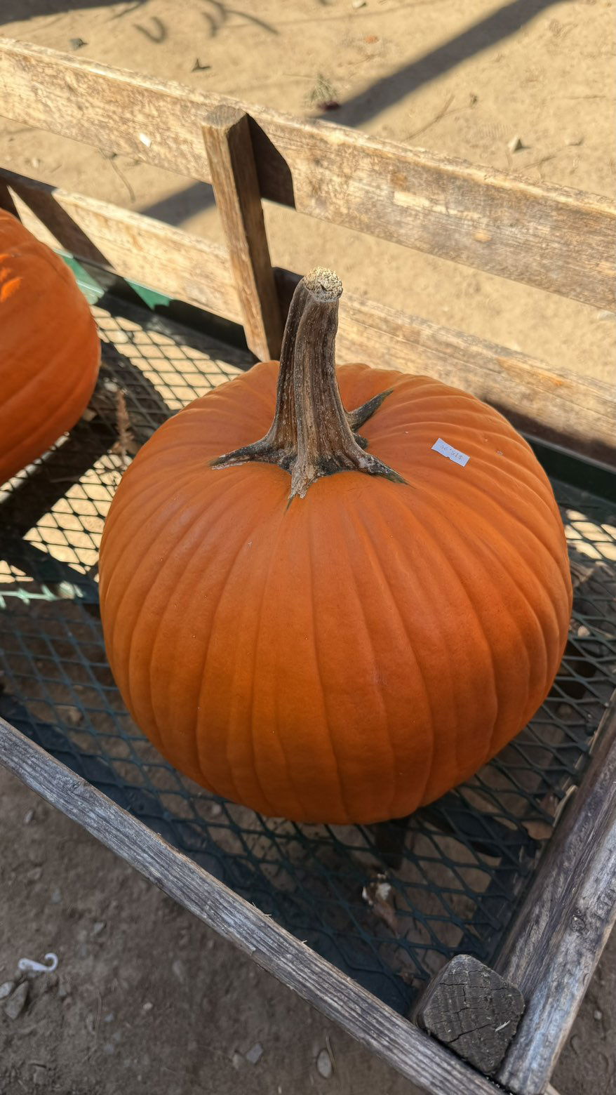 julia.filippo snapchat image archive image