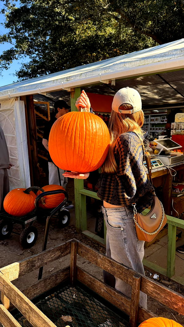 julia.filippo image ~ Altpins