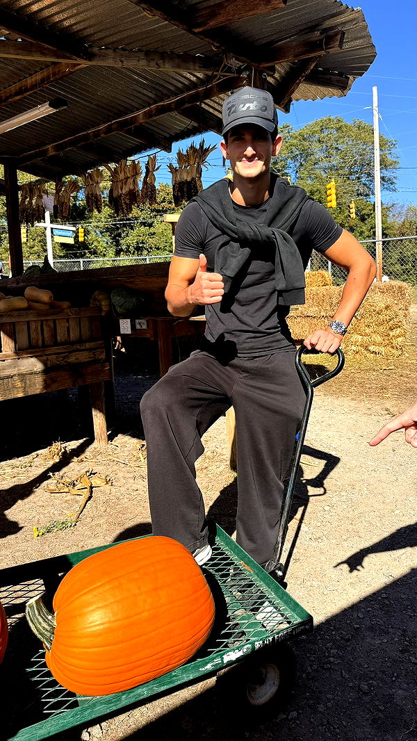 julia.filippo image ~ Altpins