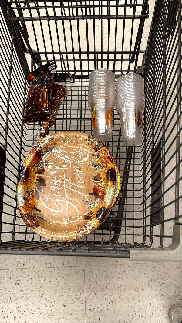 julia.filippo image ~ Altpins