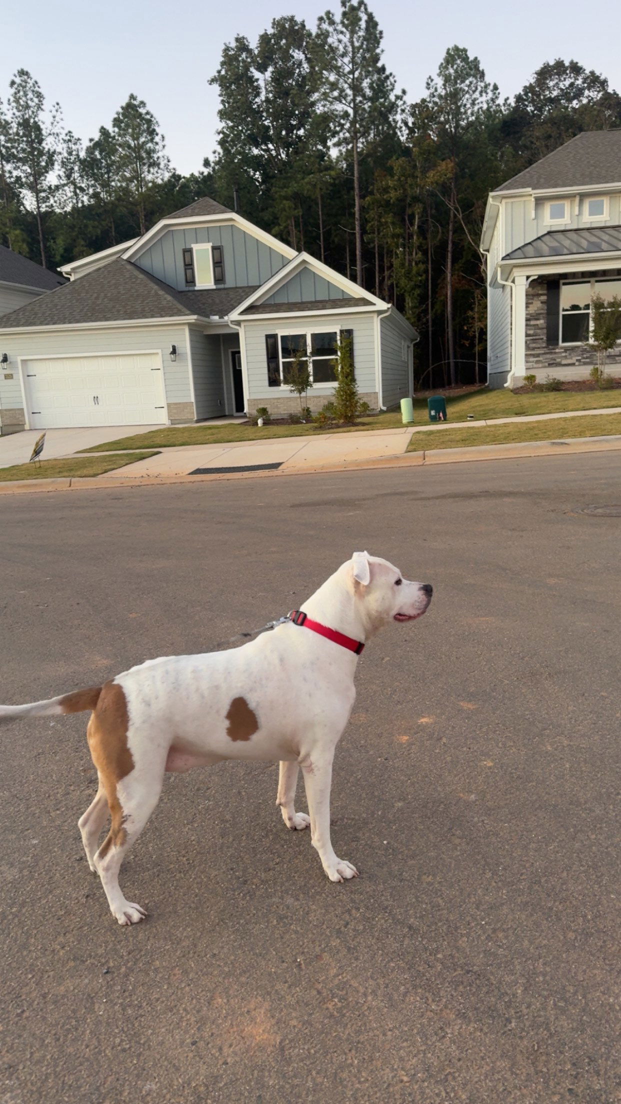 julia.filippo snapchat image archive image